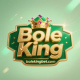 bolekingbet.com favicon